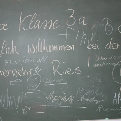 Bild